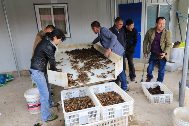 方爱春照片2.jpg
